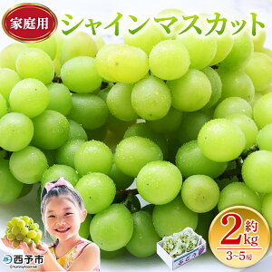 yӂ邳Ɣ[ŁzVC}XJbg ƒp 2kg ʕ  t[c Ԃǂ  uhE VC}XJbg Ⴂ܂ 3`5[ 2L ƒp Ȃ Â 炲 Y