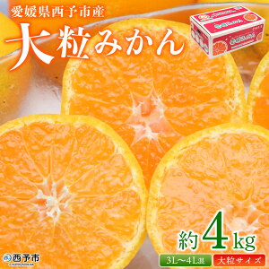 yӂ邳Ɣ[ŁzQ\sY 嗱݂ 4kg ʕ  t[c k ݂  ~J IW B݂ 嗱 TCY Hׂĉ Yi Fs{Y Q \s