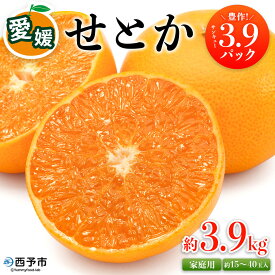 【ふるさと納税】＜愛媛県西予市産 せとか 家庭用 豊作 サンキューパック 約3.9kg＞ 訳あり ワケアリ セトカ 薄皮 果汁 柑橘の王様 旬 柑橘 果物 フルーツ くだもの 国産 愛媛県産 サイズ不揃い 傷あり 食べて応援 宇都宮物産【常温】『2026年2月中旬～3月中旬迄に順次出荷』