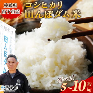 yӂ邳Ɣ[ŁzVāߘa7NY Q\sY RVqJ cڃ_ 5kg/10kg Iׂ 5L 10L Ђ \ Fa  R     Y QY FaY