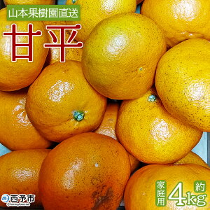 yӂ邳Ɣ[ŁzÕ 4kg ƒp ʕ  IW t[c ؂ JyC k ݂ ~J  Gߌ Ԍ Hׂĉ Yi Yn R{ʎ Fa O