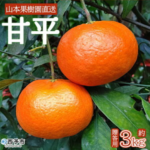 【ふるさと納税】<甘平 約3kg 贈答用> 果物 オレンジ フルーツ かんぺい カンペイ 柑橘類 みかん ミカン 蜜柑 ポンカン 西之香 ギフト 贈り物 プレゼント 食べて応援 特産品 山本果樹園 西