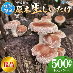 yӂ邳Ɣ[ŁzċG ؐiDij 100g×5pbN v500g ʌ Ԍ č̂ ؐő  VC^P ̂ Di o[xL[ BBQ  Y QY 