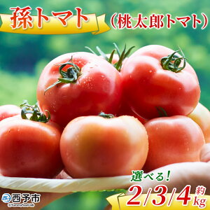 yӂ邳Ɣ[Łzg}giYg}gj2kg/3kg/4kg g}g Ƃ܂ Iׂ 2L 3L 4L  QY \sY Hi Yg}g Y  ₳ T_ Yn Y 