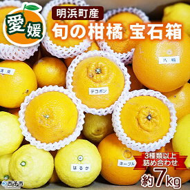 【ふるさと納税】＜愛媛県明浜産 旬の柑橘 宝石箱（3種類以上詰め合わせ）約7kg＞温州みかん ポンカン イヨカン はるか 紅ハッサク ネーブル せとか 不知火 デコポン 清見 紅甘夏 ブラッドオレンジ 宇都宮農園 西予市【常温】『2026年2月上旬～4月上旬迄に順次出荷予定』