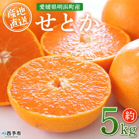 【ふるさと納税】【先行予約】＜産地直送 愛媛県明浜町産 せとか 約5kg＞※2027年3月上旬～3月下旬迄に順次出荷予定 セトカ 果物 くだもの みかん ミカン 柑橘 フルーツ 柑橘類 果実 高級 糖度 果汁 柑橘の大トロ 甘い 国産 5キロ 特産品 宇都宮農園 愛媛県 西予市【常温】