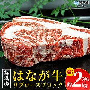 yӂ邳Ɣ[ŁzIׂeʁn ͂Ȃu[XubN 500g`2kg    Xe[L uh SĂ ē Y  ܂ ~ ӂ o[xL[ BBQ L