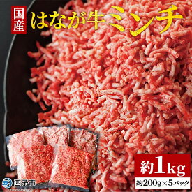 【ふるさと納税】＜はなが牛ミンチ 約1kg （約200g×5パック）＞ 牛肉 国産牛 ハンバーグ 炒め物 煮物 カレー ミートソース パスタ 挽き肉 ひき肉 晩御飯 パーティー 特産品 小分け ゆうぼく 愛媛県 西予市 【冷凍】『1か月以内に順次出荷』