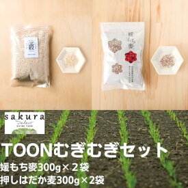 【ふるさと納税】TOONむぎむぎセット　【 麦 もち麦 はだか麦 食物繊維 ご飯 サラダ スープ もちもち プチプチ 】　お届け：ご寄附（入金）確認後、順次配送致します。