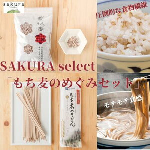 yӂ邳Ɣ[ŁzSAKURA select û߂݃Zbgv ˗ ǂ   H@ H ` ͂ 邲͂ H