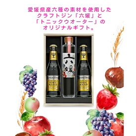 【ふるさと納税】道後ジン 六媛・トニックセット（G6-200） お酒 晩酌 家飲み 宅飲み 愛媛県産素材 ボタニカル 華やかな香り 香ばしい香り キレ のかな甘み トニックウォーター