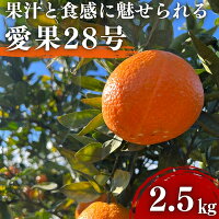 【愛媛県東温市】