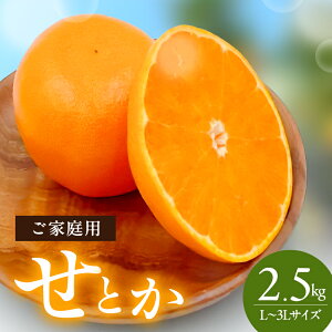 yӂ邳Ɣ[ŁzƂ L`3LTCY@2.5kg@ƒp@͂F2026N2{`3{