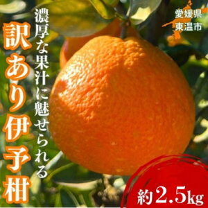 yӂ邳Ɣ[Łz󂠂ɗ\ 2.5kg sY TCYC { _ ݂ lC ʌ s\ k  ~J Q݂ 񂫂 Y Q Yn t[c ʕ 