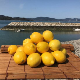 【ふるさと納税】青いレモンの島　国産レモン約3kg(冷蔵便発送)※サイズはS玉～2L玉のいずれかもしくは混載【配送不可地域：離島】【1299053】