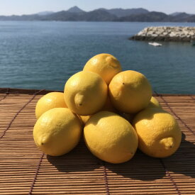 【ふるさと納税】青いレモンの島　レモン約1kg【お試しセット】(冷蔵便発送)【配送不可地域：離島】【1403449】