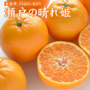 yӂ邳Ɣ[Łzys\z˂̐P@2L`STCY@4kg(25`60)@Q@JA܂΂y1439143z