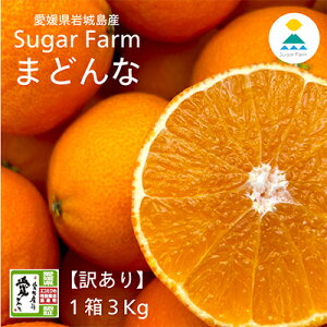 yӂ邳Ɣ[Łzy12{`zzy󂠂zVK[t@[̂܂ǂ3kg TCY~bNXy1446622z