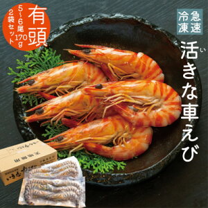 yӂ邳Ɣ[Łz}ⓀȎԂсyL5`6(170g)×2܃ZbgzyzsnFzy1576828z