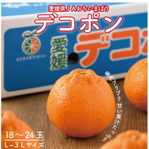 【ふるさと納税】【先行予約】瀬戸内のデコポン 約5kg 3L〜L 18玉〜24玉 JA選果品 上島・今治産 【1643861】