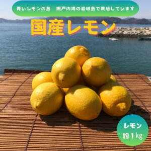 yӂ邳Ɣ[Łzys\2026N1`z̓@Y(CG[)1kgy1651410z