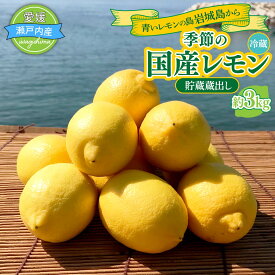 【ふるさと納税】青いレモンの島 貯蔵蔵出し国産レモン約3kg 冷蔵でお届け 国産 レモン 国産レモン イエロー レモン