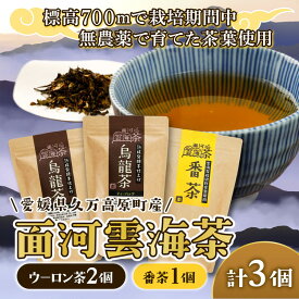 【ふるさと納税】面河雲海茶3袋セット【番茶1袋（約20杯分）烏龍茶（10パック）2袋】 ｜ 愛媛県 久万高原町 面河産 茶葉 ※2025年6月中旬頃より順次発送予定