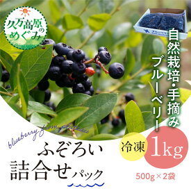 【ふるさと納税】【先行予約】農園直送 不揃い手摘み 冷凍 ブルーベリー 500g×2袋 計1kg 使い方いろいろ ｜ 愛媛県 廣瀬農園 自然派 高原栽培 国産 フルーツ ベリー 製菓用 スムージー ヨーグルト 朝食 食物繊維 ※離島への配送不可 ※2026年7月中旬頃より順次発送予定