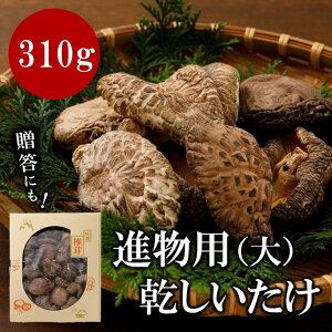 yӂ邳Ɣ[Łzip310g b ؍͔| ő ő ǂ  ̂ o`   Q v@ւ̔zs 2025N2{菇\
