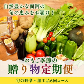 【ふるさと納税】【定期便】【自然豊かな面河の旬の恵みをお届け！】おもご季節の贈り物定期便（野菜・加工品6回コース）※着日指定不可