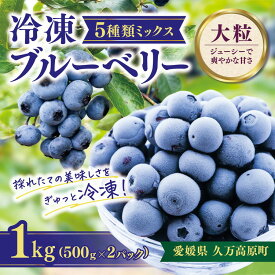 【ふるさと納税】【先行予約】冷凍 ブルーベリー 大粒 1kg (500g×2パック) 5種類ミックス | 国産 愛媛県 久万高原町 農園直送 栽培期間中 農薬不使用 果実 フルーツ 果物 くだもの 朝食 ヨーグルト スムージー ビタミンC 食物繊維 ※2026年8月上旬頃より順次発送予定