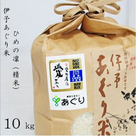 【ふるさと納税】★令和5年産★伊予あぐり米「ひめの凜」（精米 10 kg）