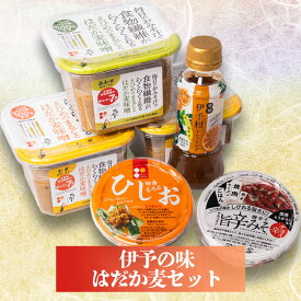 【ふるさと納税】 伊予の味 はだか麦セット 味噌 みそ 麦味噌 あわせみそ はだか麦 はだかむぎ 唐辛子 とうがらし おつまみ ドレッシング 伊予柑 いよかん 義農味噌 ギノー味噌 国産 発酵食品 健康食品 食物繊維 ギフト 贈答 ご家庭用 送料無料 愛媛県 松前町 ギノーみそ