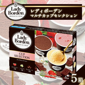 【ふるさと納税】 ロッテ レディーボーデン アイス アソート セット 詰め合わせ 5箱 各2個入 バニラ チョコレート ストロベリー 3種 フレーバー 大容量 ギフト スイーツ 洋菓子 デザート 冷凍 送料無料 愛媛県 松前町