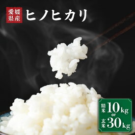 【ふるさと納税】 【精米or玄米】米 ヒノヒカリ 精米 10kg / 玄米 30kg 未検査米 【先行予約 2026年10月下旬から順次発送米】 | 国内産 ひのひかり ヒノヒカリ 未検査米 白米 こめ お米 愛媛 えひめ おこめ 愛媛県産米 美味しいお米 贈答 贈り物 愛媛県 松前町 おすすめ