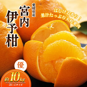 yӂ邳Ɣ[ŁzQYJAKi {ɗ\i悩j 10kgyDz3L`Li2026N1`jy{ɂ͂ Â ݂  k 񂫂  s\z@͂F2026N1{`