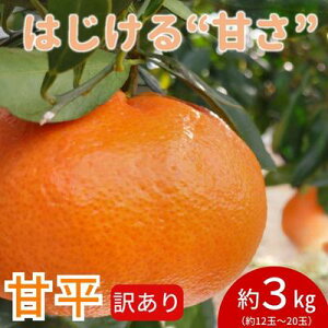 yӂ邳Ɣ[Łzyʌ@s\z󂠂ÕTCYs3Lƒp@1{`qYn@Q@Â@݂@t[cr@͂F2026N1{2{