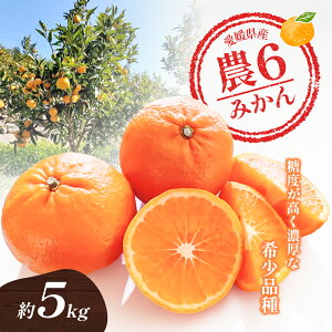 yӂ邳Ɣ[Łz_6݂uƂה_Zv󏭂ȕi̊ki񂫂ԕ{_6j5kg k  Â i  Q LO}_ {ɂ͂ ʕ 햳 Z Jbgt[