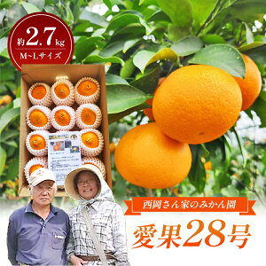yӂ邳Ɣ[Łzyʌzu28vM`LTCY 2.7kg lbgݕ1i q28 ݂ k Â [[ Q u Yn r@͂F2025N1215`2026N2{