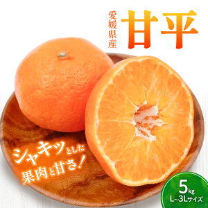 yӂ邳Ɣ[ŁzÕ L`3LTCY@5kg@ƒpytWEAOt[Y ؂ ͂H Zʏ` {ɂ͂ ݂ k lC ʌ s\ Q t[c ʕ Âz@