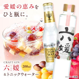 【ふるさと納税】クラフトジン 道後ジン 六媛 200ml×1本・トニック 200ml×2本 セット / クラフトジン ジントニック セット 飲み比べ スピリッツ / 愛媛県砥部町/水口酒造株式会社[BJAI001]
