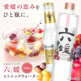 【ふるさと納税】クラフトジン 道後ジン 六媛 500ml×1本・トニック 200ml×2本 セット / クラフトジン ジントニック セット 飲み比べ スピリッツ / 愛媛県砥部町/水口酒造株式会社[BJAI002]