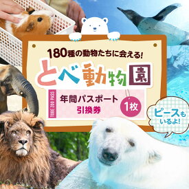 【ふるさと納税】入場券 とべ動物園「年間パスポート」 1枚 / 動物園 チケット 年パス 入場券 優待券 招待券 施設利用券 しろくまピース 空中散歩 観光 四国観光 家族旅行 人気 おすすめ 送料無料 / 愛媛県砥部町/愛媛県動物園協会(砥部町地域振興課)[BJCA002]