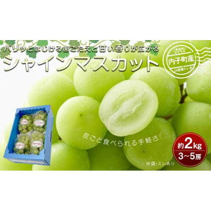 yӂ邳Ɣ[ŁzqY VC}XJbg W 3`5[ 2kg | uhE QY VN VC}XJbg { t[c ʕ  Hi lC  
