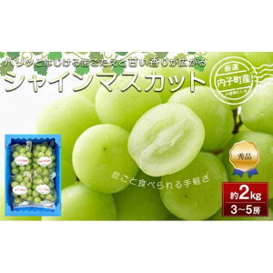 yӂ邳Ɣ[ŁzqY VC}XJbg Gȏ 3`5[ 2kg | uhE QY VN VC}XJbg { t[c ʕ  Hi lC  