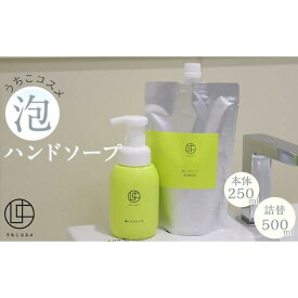 【ふるさと納税】うちこコスメ泡ハンドソープ　250ml＆詰め替え用500mlセット | スキンケア 洗浄 化粧品 コスメ 美容 人気 おすすめ 送料無料