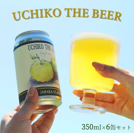 【ふるさと納税】UCHIKO　THE BEER　350ml×6缶セット | お酒 さけ 人気 おすすめ 送料無料 ギフト