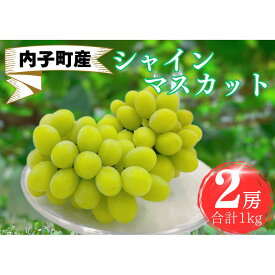 【ふるさと納税】内子町産　シャインマスカット 秀品　2房 1.0kg ＜2026年8月下旬～発送開始＞