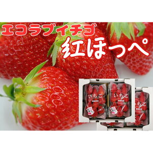 yӂ邳Ɣ[ŁzqY@ugق؁v@4pbN