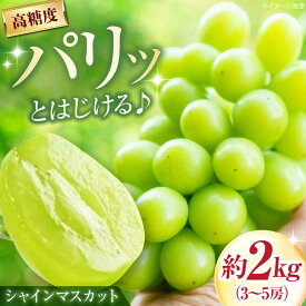 【ふるさと納税】井上農園のシャインマスカット 約2kg 3〜5房入 〈2026年9月〜発送〉 ／ フルーツ 果物 くだもの 食品 人気 おすすめ 送料無料 シャインマスカット マスカット ますかっと 葡萄 【株式会社内子フレッシュパークからり】[BKAD043]
